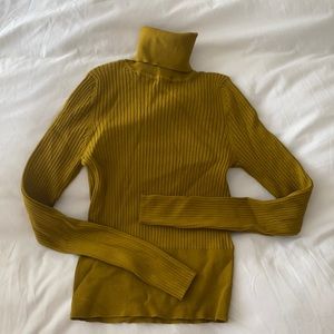 Zara Turtle Neck